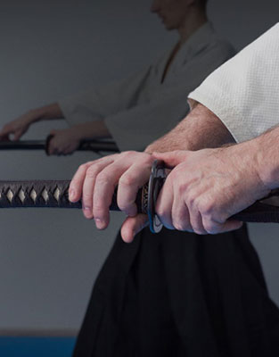 Japanese Samurai Sword Program